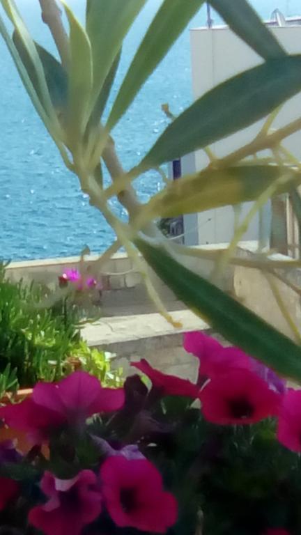 Tra Le Mura Polignano a Mare Exteriér fotografie