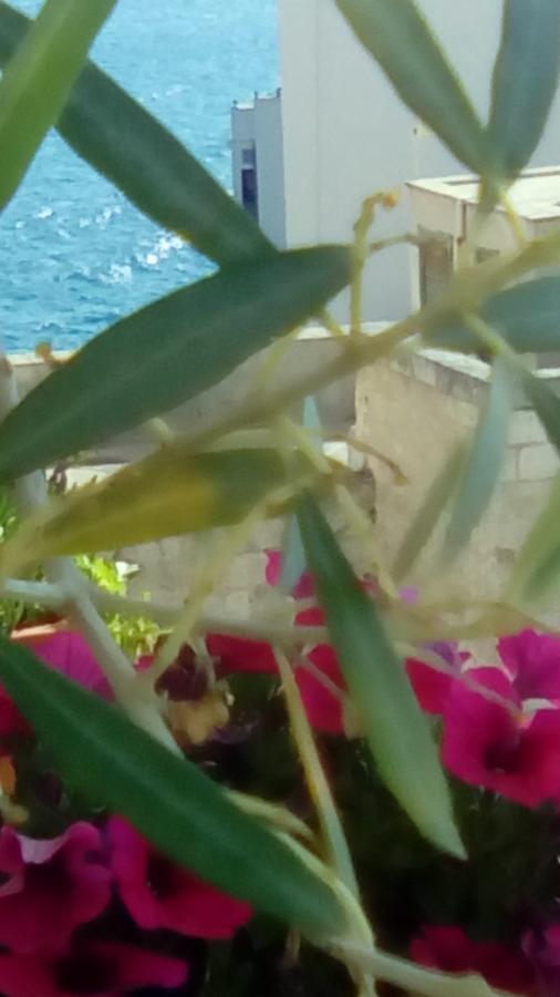 Tra Le Mura Polignano a Mare Exteriér fotografie
