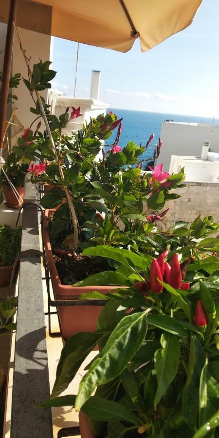Tra Le Mura Polignano a Mare Exteriér fotografie